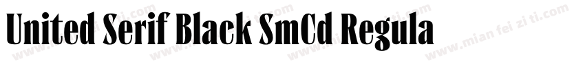 United Serif Black SmCd Regular字体转换